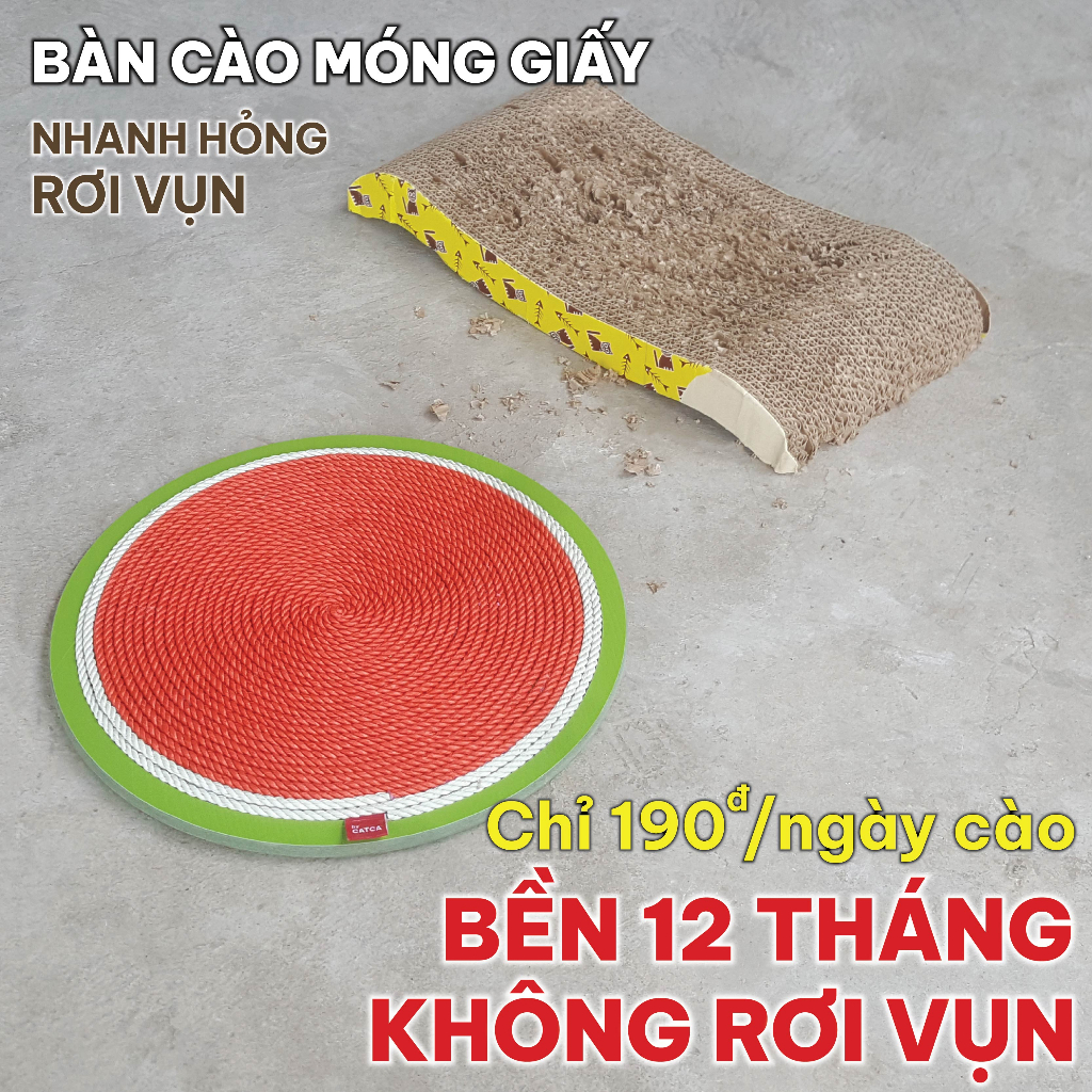 Bàn cào móng thừng bền sạch CATCA cho mèo cào - BCM Lion nghiêng