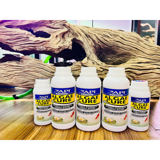 Api algae cure pond - vi sinh ăn tảo sống và kết tụ mây siêu trong, tiêu hao no3 & po4 nước ngọt & mặn