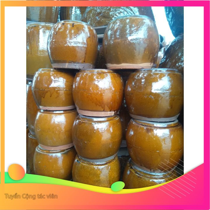 Lu gạo nhỏ, lu chứa nước nuôi cá, thủy sinh