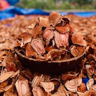 [1KG KHÔ] Cỏ máu (huyết đằng) bổ huyết, hỗ trợ tăng cân, ngủ ngon Goong Nature