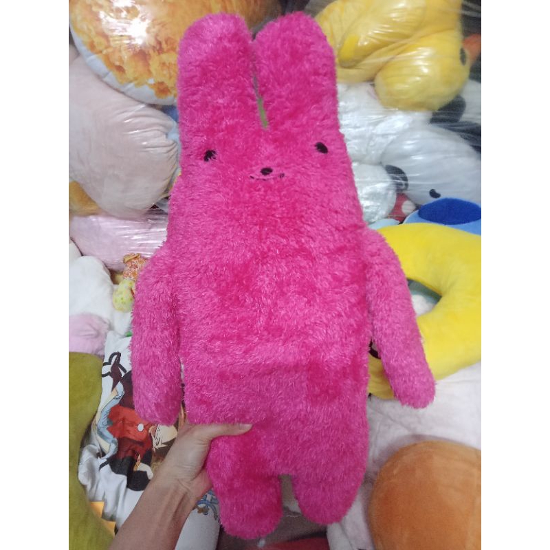 Gấu bông catholic size 50-60cm hàng kiện