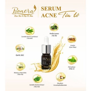 Serum Mụn Tía Tô