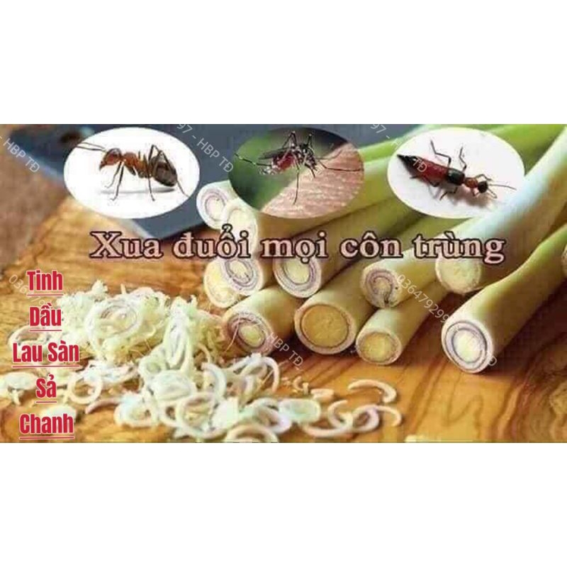TINH DẦU SẢ CHANH LAU SÀN 1 LÍT