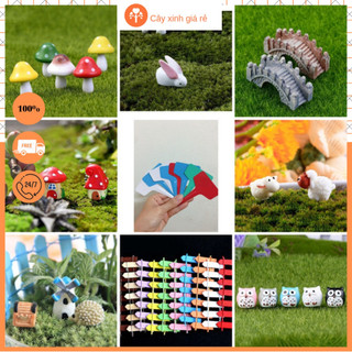 Phụ kiện trang trí tiểu cảnh cây cảnh, sen đá, Phụ kiện terrarium