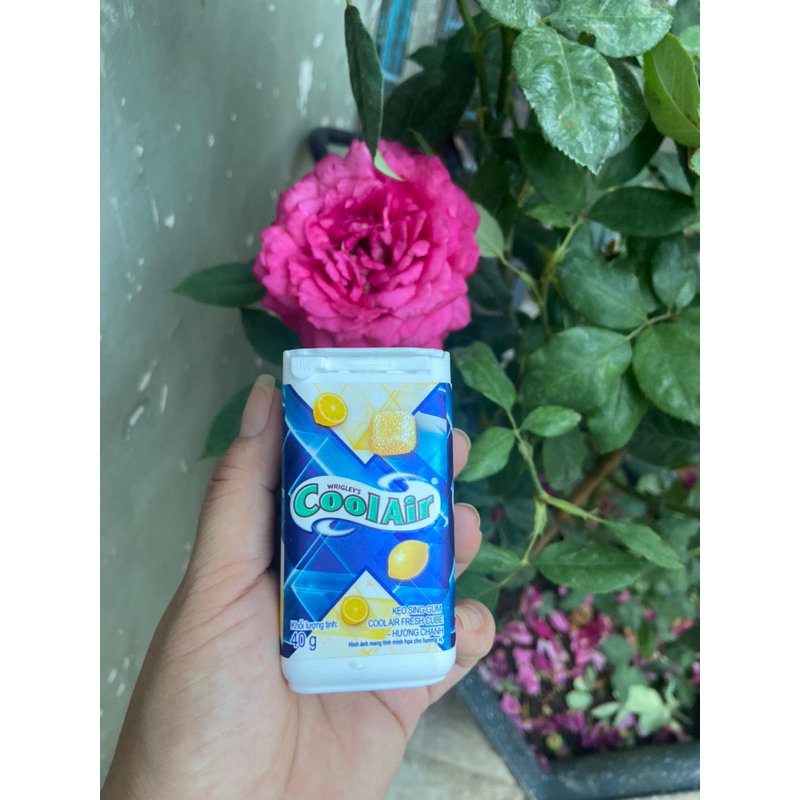 SINGUM CAO CẤP COOLAIR CUBE.🌈🌈💝💝 40gr