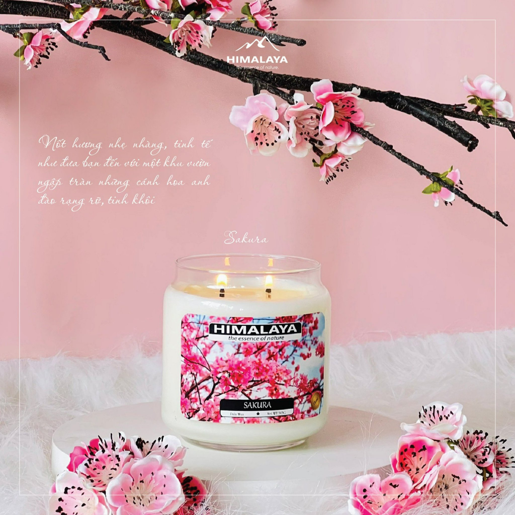 Nến thơm Himalaya hương Sakura 140g/343g/545g