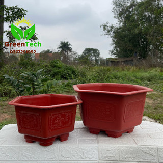 2 chậu nhựa lục giác fac 38cm, chậu nhưa trồng cây