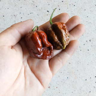3 Hạt Ớt Big Mama Caramel