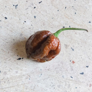 3 Hạt Ớt Big Mama Caramel