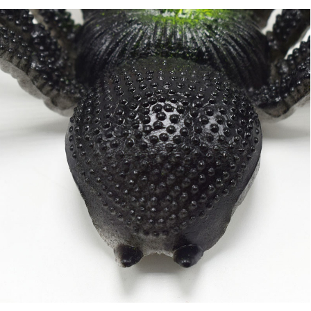 Nhện và Thằn Lằn Silicon Dẻo, Đồ Chơi Bằng Silicone Cho Bé, Loại To Làm Đồ Chơi Hoặc Trang Trí