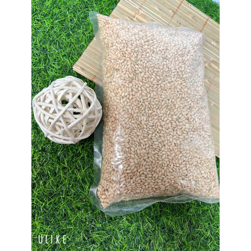 Gạo Lứt Nếp Cái Hoa Vàng ăn kiêngăn chay hỗ trợ giảm cân