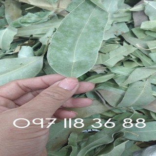 Lá Cây Bạch Đàn Khô 01KG sp0 TPV