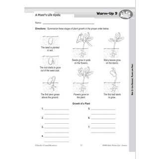 ( Khoa Học ) Daily Warm up Science -  Grade 2,3,4,5,6