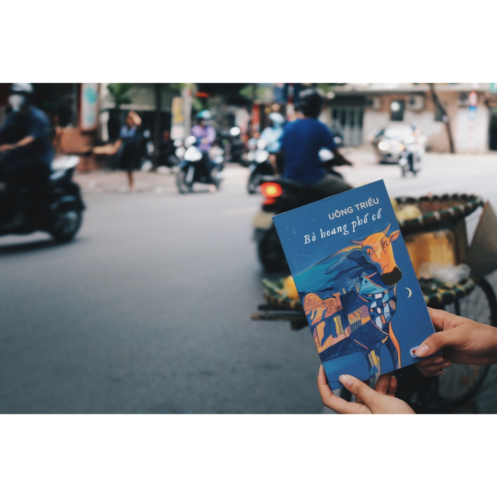 Sách - Bò hoang phố cổ ( Uông Triều )
