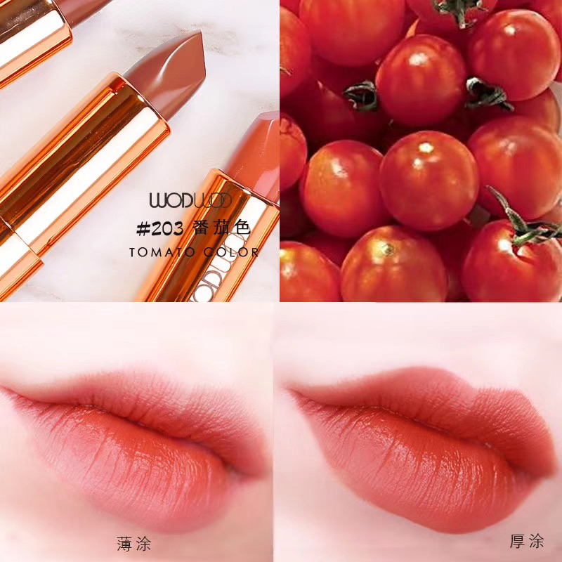 🛍️💄Son nội điạ Trung WodWod Starry Lipstick Vỏ Kim Tuyến w723