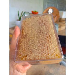 Mật ong bánh tổ đóng hộp 500gr | mật ong manbu