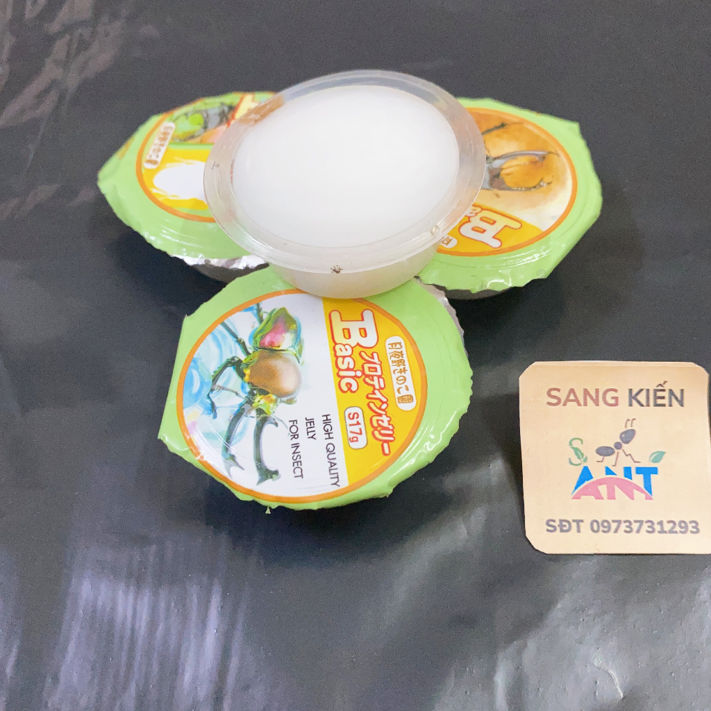 Thạch Dinh Dưỡng Dành Cho Kiến PK15