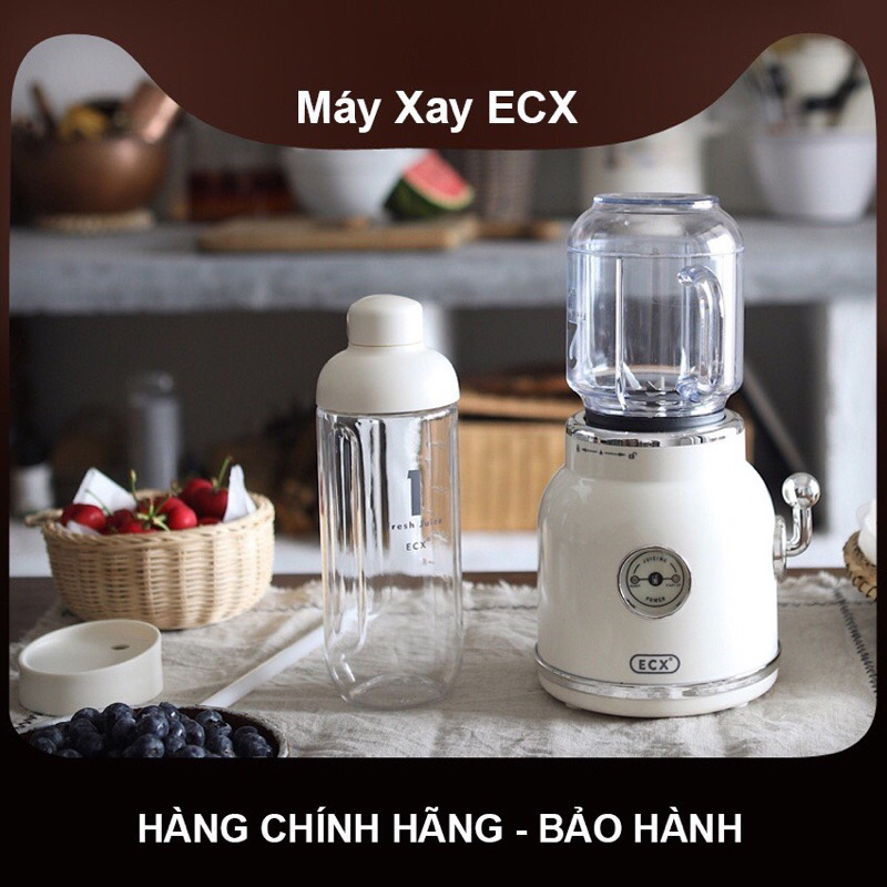 Máy xay sinh tố rau củ quả EXC phong cách Retro công suất 300
