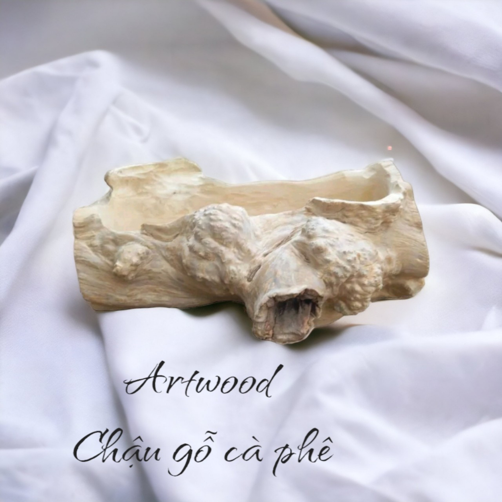 Chậu ngang gỗ cà phê dài 26cm, chậu cà phê trồng sen đá, chậu nu cà phê, chậu gỗ cà phê trồng hoa, chậu gỗ cà phê