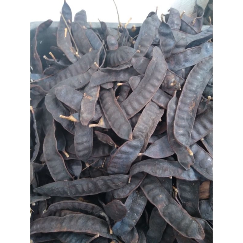 Trái Bồ kết khô 500g