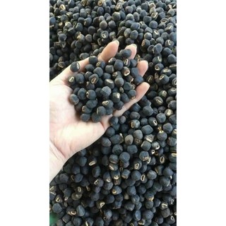 [Freeship] Hạt chuối cô đơn loại 1 chất lượng