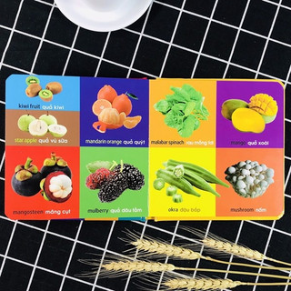 Sách 101 First Words - Plants (101 Từ Đầu Tiên - Thực Vật)