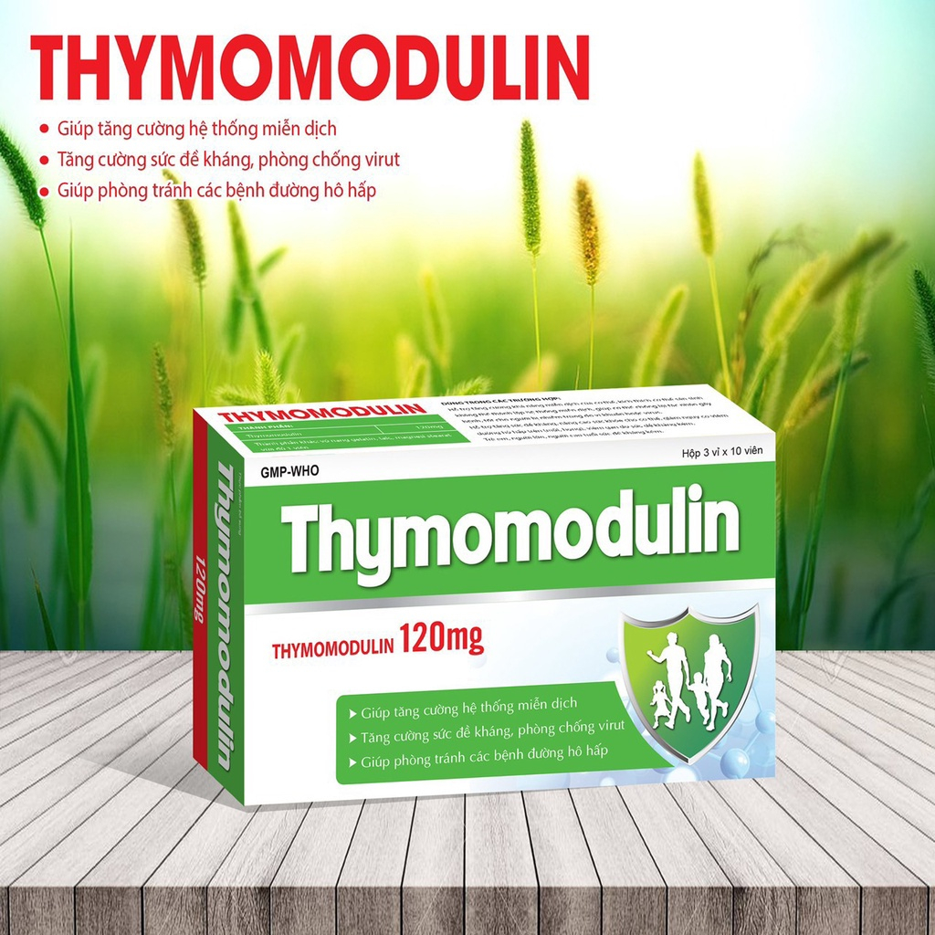 Viên uống Thymomodulin 120mg tăng cường sức đề kháng, phòng tránh bệnh đường hô hấp - Hộp 30 viên