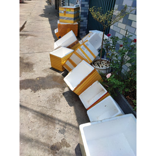 Thùng xốp trồng cây, nuôi cá
