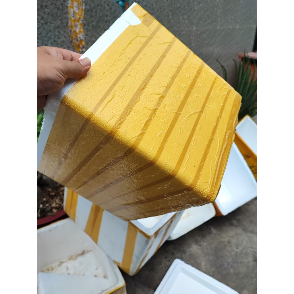 Thùng Xốp cũ 30 x 22 x 23