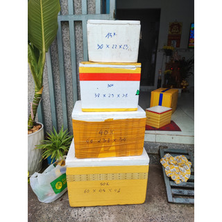 Thùng xốp trồng cây, nuôi cá