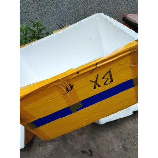 Thùng xốp trồng cây, nuôi cá