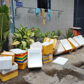 Thùng xốp trồng cây, nuôi cá