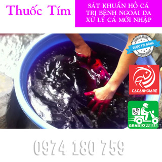 Sát khuẩn hồ cá, thuốc tím tắm cá