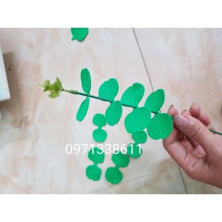 Sét 100 lá táocắt sẵn bằng xốp