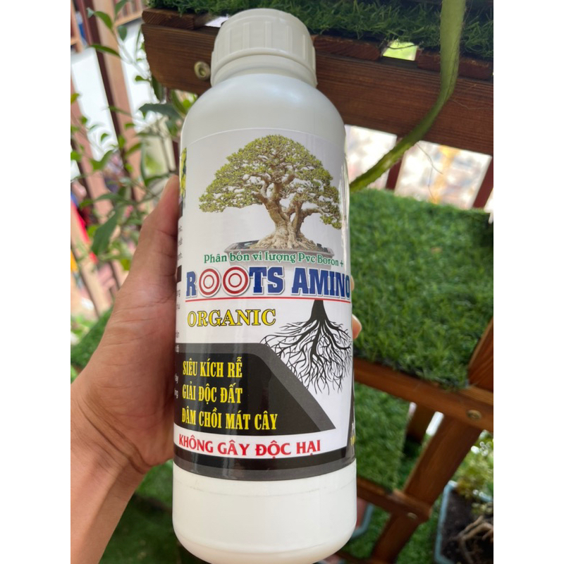 Siêu Kích Rễ Roots Amino Thái Lan