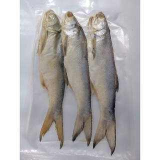 Cá chét đặc sản cà mau 3con/1kg
