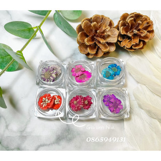 Set hoa khô nail trang trí móng