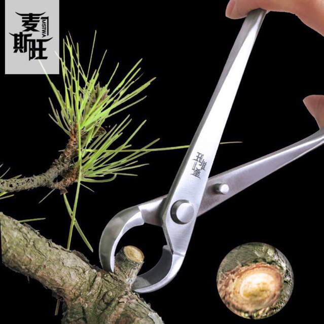 cạp tròn , cạp xéo hàng công ty MST