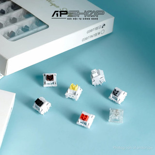 Switch Wuque Studio WS Silent Linear | 35 Nút | Chính hãng.