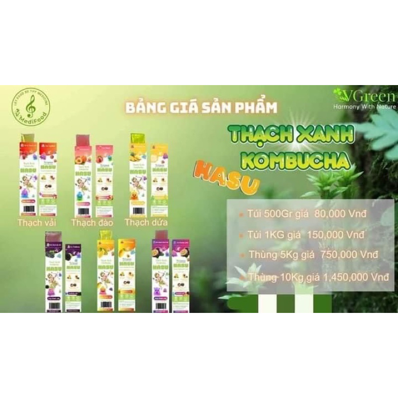 Thạch Xanh Kombucha Hasu