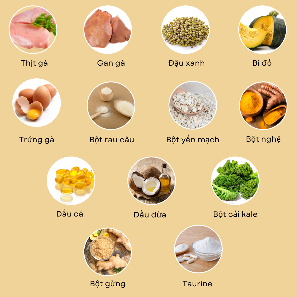 Pate tươi PETCHOY cho chó từ 3 tháng tuổi vị "GÀ GIỮ DÁNG" 500gram