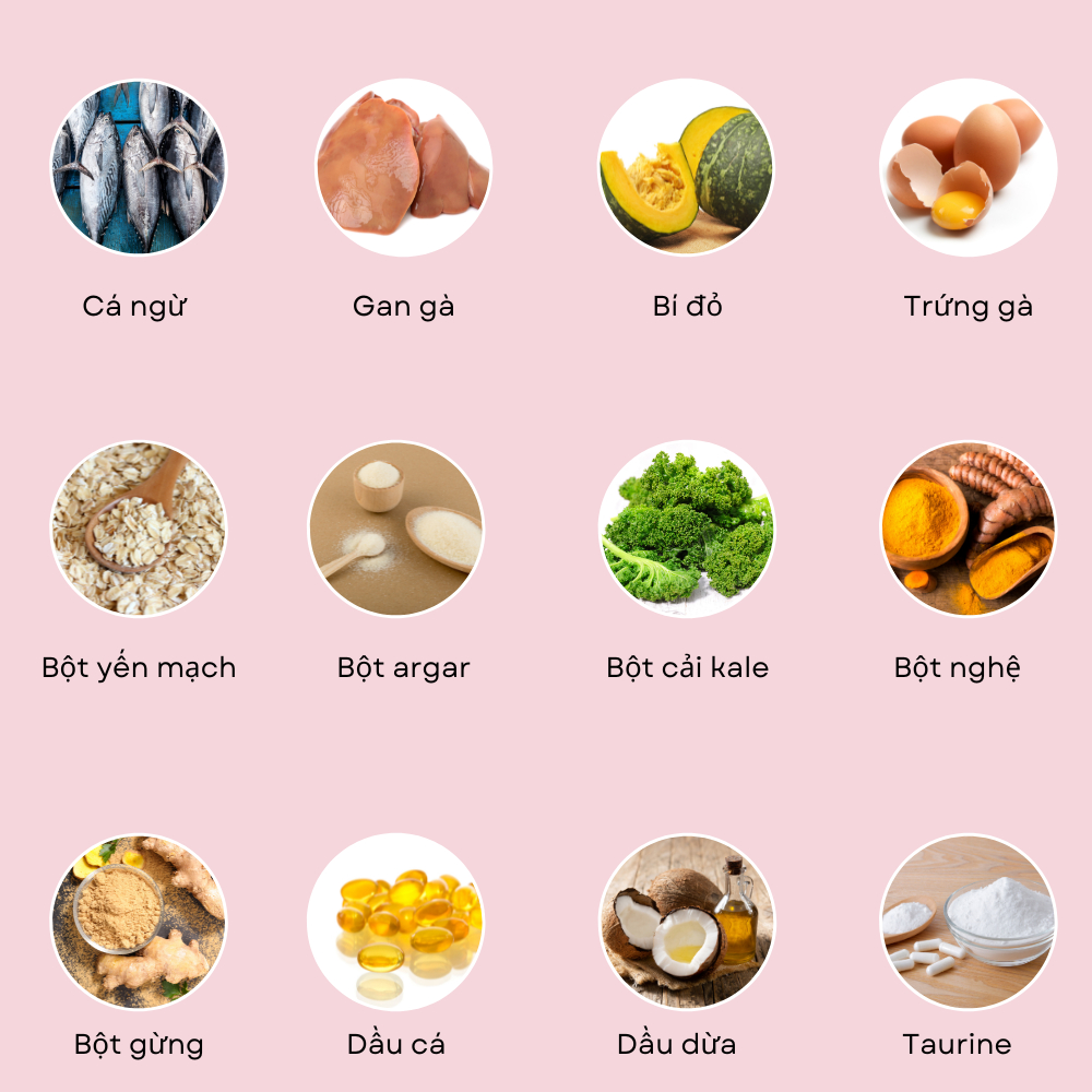 Pate tươi PETCHOY cho mèo từ 3 tháng tuổi vị "CÁ NGỪ ĐẠI CA" 500gram
