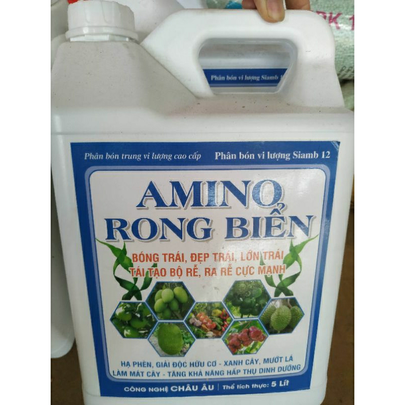 Amino rong biển can 5l. Xanh cây, mướt lá, giải độc, lớn trái, lá dày xanh,bóng đẹp