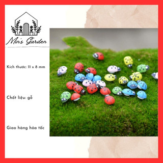 Combo 2 bọ cánh cứng mini 🔥FREE SHIP🔥 phụ kiện trang trí tiểu cảnh