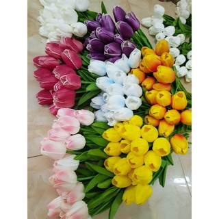 Hoa tuy lip nhập khẩu- hoa tuy lip cao su