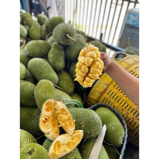 Mít tố nữ siêu trái