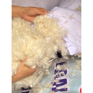 0,5 kg bông gòn tự nhiên giá 75k