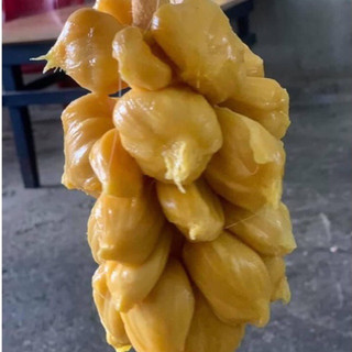 Mít tố nữ siêu trái