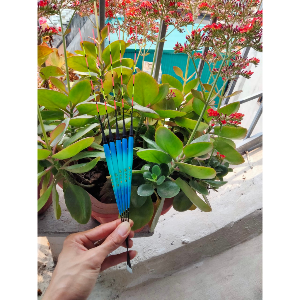 Phao điện câu rô xanh đổi màu và không đổi màu, phao câu đài tải chì 1.4g, 1.7g, 2.1g