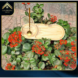 Khay gỗ tự nhiên hình bầu dục 2 ô dài 29cm OV2